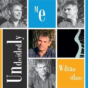 Original collage cover for Undecidedly Me by William Adams